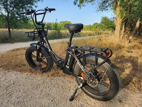 Vélo Électrique ENGWE L20 : Puissance 250W, Batterie 624Wh | Autonomie 60KM