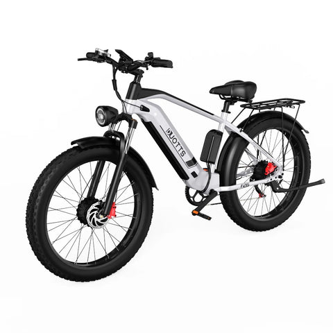 Duotts F26 Vélo Électrique - Moteurs 750W*2 Batterie 840WH 50KM Autonomie - Blanc argenté