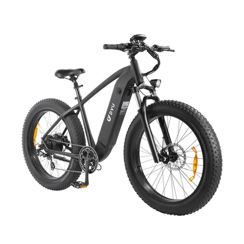 Vélo Électrique DYU King750 26 Pouces 45km/h - Moteur 750W Batterie 48V20Ah Freins à Disque - Noir